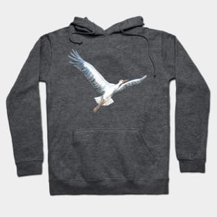 White stork, Ciconia ciconia, flying illustration Hoodie